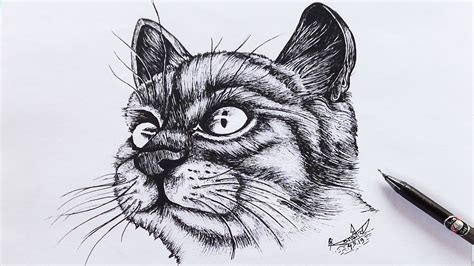 How To Draw A Black Cat Using Black Gel Pen Step By Step How To Use