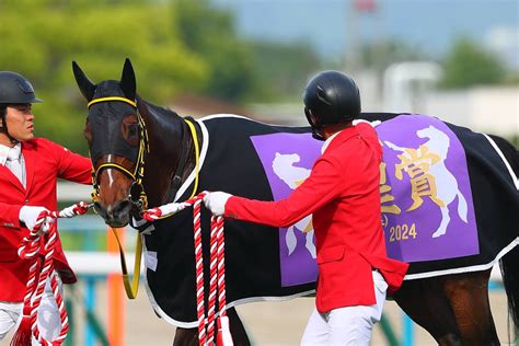 【天皇賞・春レース回顧】テーオーロイヤルと菱田裕二騎手、人馬一体の深い絆 競馬ニュースなら競馬のおはなし