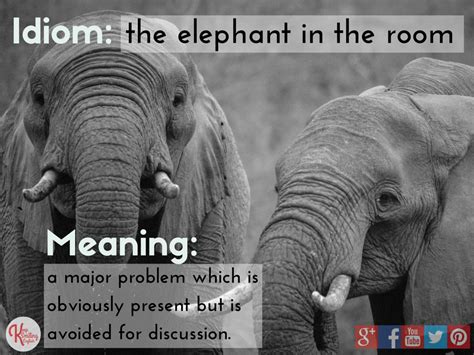 Elephant In The Room Example - bestroom.one