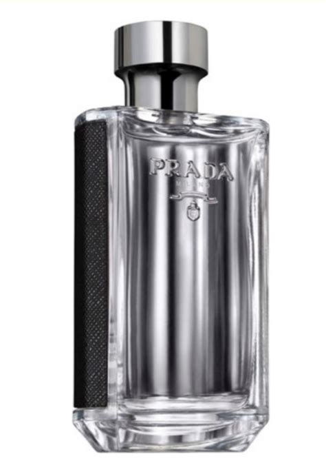 Top 10 Most Complimented Perfumes For Men Castle And Beauty