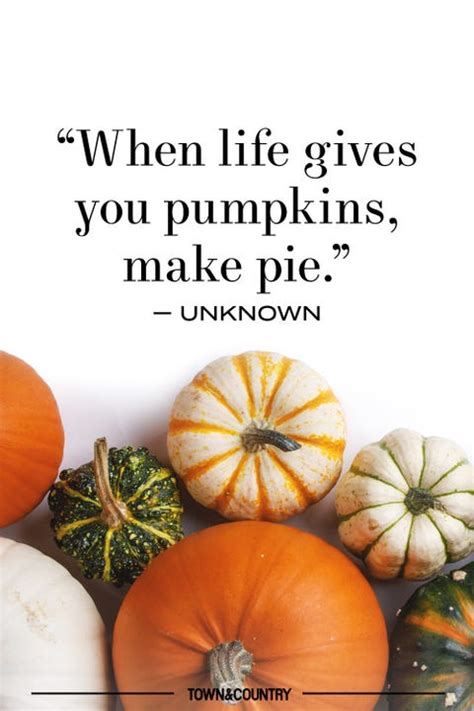 14 Pumpkin Patch Quotes For Fall Best Pumpkin Quotes To Celebrate Autumn