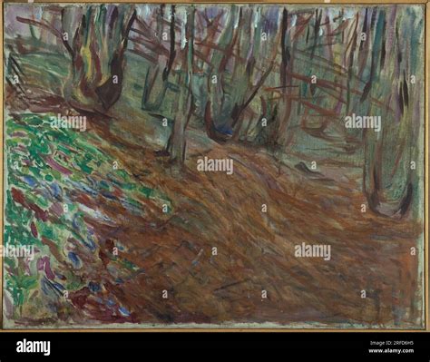 Elm Forest In Spring Circa 1923 By Edvard Munch Stock Photo Alamy