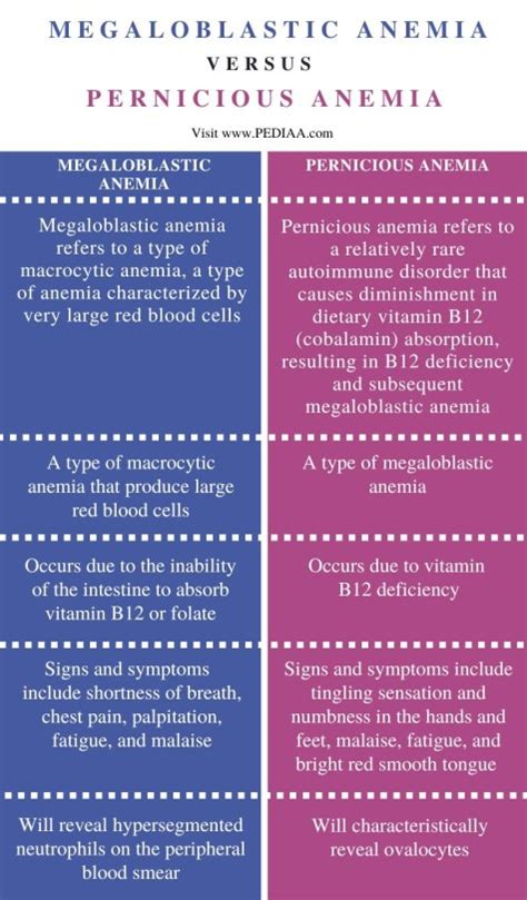 Difference Between Megaloblastic And Pernicious Anemia Causes Signs And Symptoms Diagnosis