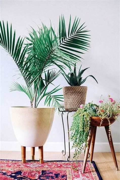 7 plantas de interior que te harán viajar sin moverte de tu casa Style At Home, Modern Planters ...