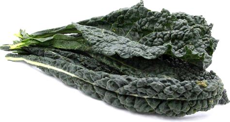 Black Kale Information and Facts