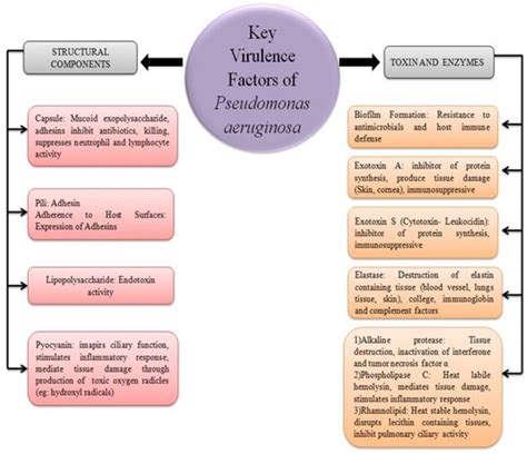 Figure From Growing Emergence Of Drug Resistant Pseudomonas