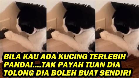 BILA KAU ADA KUCING TERLEBIH PANDAI TAK PAYAH TUAN DIA TOLONG DIA BOLEH