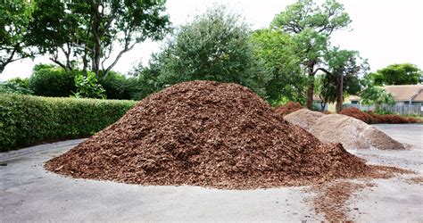 Wood Mulch And Soil