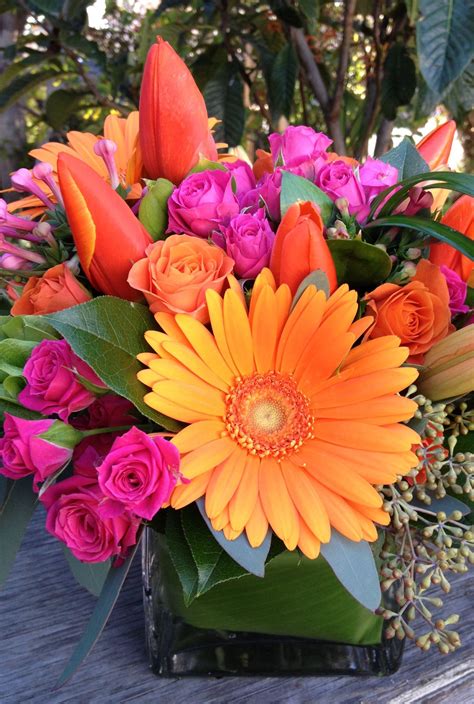 Florabella Love Orange And Hot Pink Beautiful Flowers Flowers