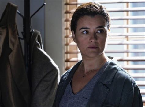 Cote De Pablo Has Undergone A Stunning Transformation Curious World