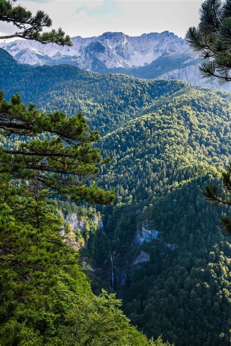 Parco Nazionale Di Sutjeska Uno Dei Parchi Più Antichi Della Bosnia