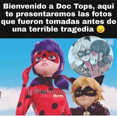 Pin De Ale M En Guardado R Pido Memes De Miraculous Ladybug Chistes