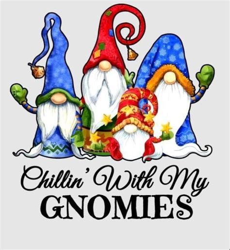 Pin By Sheila PLANTE On Gnomes Christmas Gnome Gnomes Crafts Gnomes