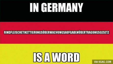 Meanwhile In Germany Laughing So Hard Funny Quotes German Humor