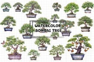 Bonsai Tree Watercolor Clipart Bundle Graphic By Earthstudiotomo