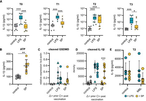 Spleen Tyrosine Kinase Mediates Innate And Adaptive Immune Crosstalk In