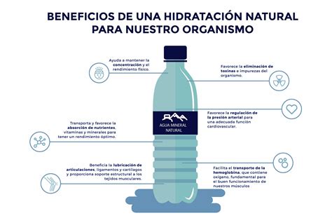 Beneficios De Una Adecuada Hidrataci N