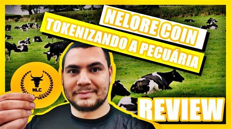 Nelore Coin Conheça o projeto que tokeniza o investimento em pecuária