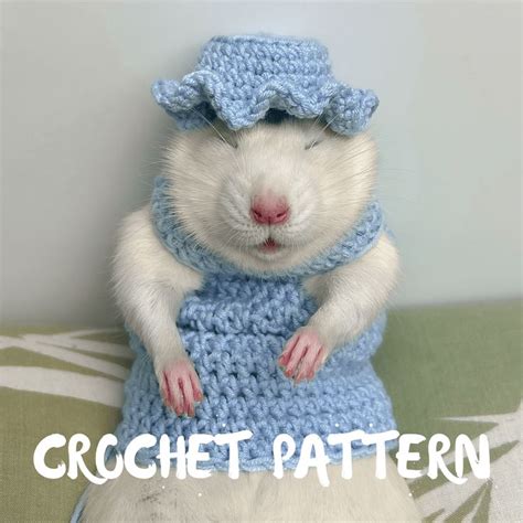 Crochet Pattern Rat Coat Sweater Rateasy Rat Pet Crochet Pa Inspire