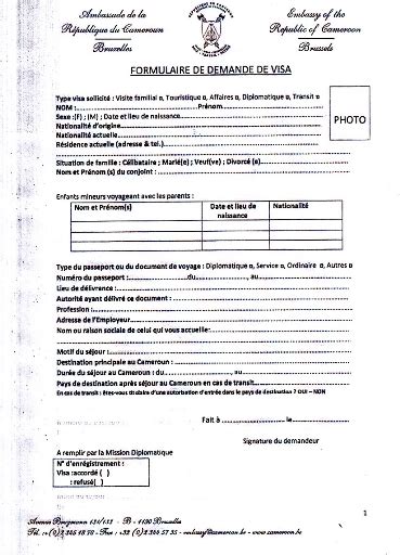 Application Form Formulaire De Demande De Passeport Cameroun