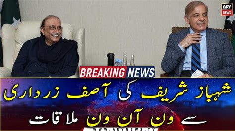 PM Shehbaz Sharif Meets Former President Asif Zardari YouTube