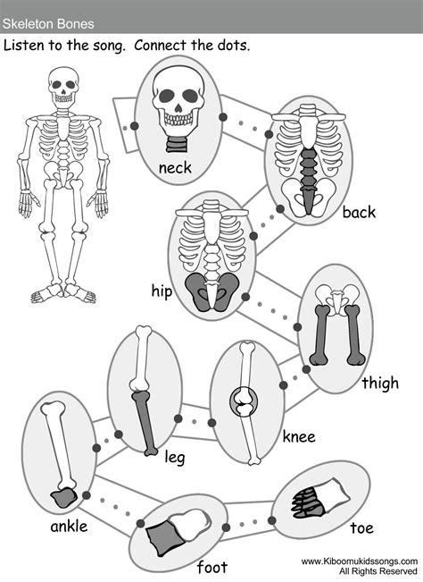 Bones Grade 1 Worksheets