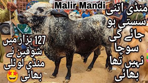 Malir Mandi Karachi Cattle Latest Rates Update 4 June 2024 Cow Mandi