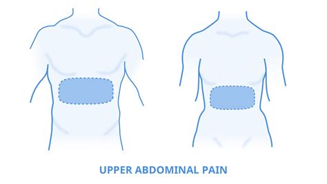 Image Highlighting The Upper Abdomen