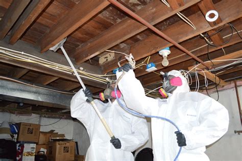 Mold Testing And Mold Removal For Louisiana Homeowners Drymax Mold