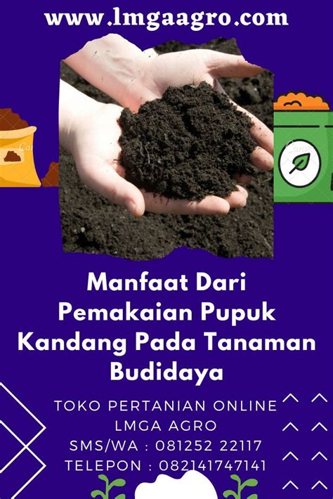 Manfaat Dari Pemakaian Pupuk Kandang Pada Tanaman Budidaya