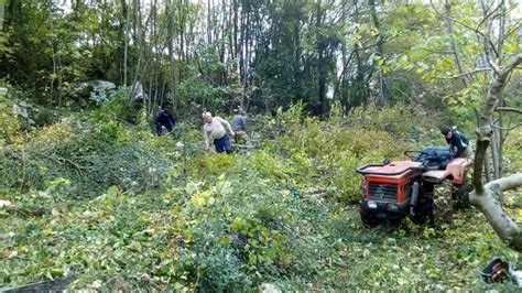 Si Ribalta Con Il Trattore Muore A 25 Anni Tragedia In Provincia Di