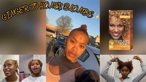 Dying My 4c Hair Honey Blonde No Bleach Clairol Texture And Tones 6g