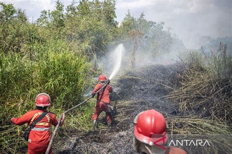 Bmkg Sejumlah Wilayah Berpotensi Alami Karhutla Hingga Hujan Lebat