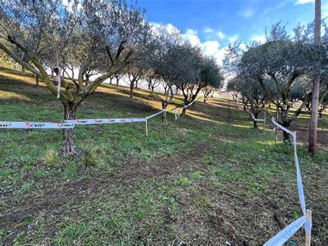 Castello Roganzuolo Di San Fior Treviso Sabato E Domenica