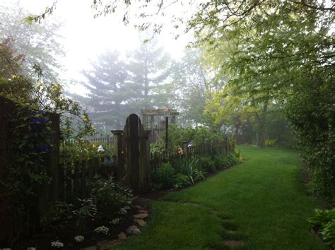 This Morning Was So Beautiful In The Garden I Love Fog It Makes Even