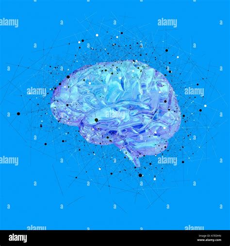 Estructura Del Cerebro Fotografías E Imágenes De Alta Resolución Alamy