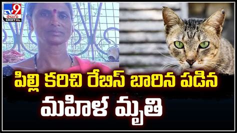 Cat Rabies పిల్లి కరిచి రేబిస్ బారిన పడిన మహిళ మృతి ఐదు డోసులకి