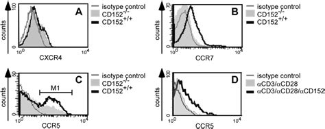 Cd152 Mediates Up Regulation Of Chemokine Receptors Ccr5 And