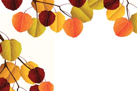 Aspen Leaves Stock Illustration - Download Image Now - iStock