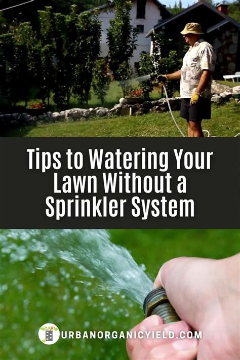 How To Water Lawn Without Sprinkler System 4 Best Ways Artofit