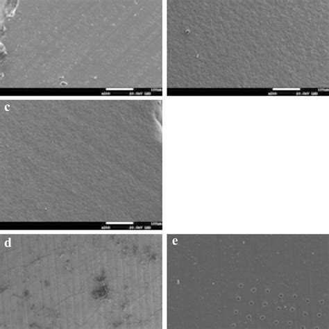 Sem Micrographs Of Specimens From Each Of The Different Groups Download Scientific Diagram