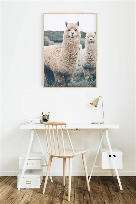 Llama Wall Art Alpaca Print Farmhouse Wall Art Alpaca Etsy Australia