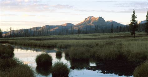 Yellowstone Undesignated | Outside Bozeman