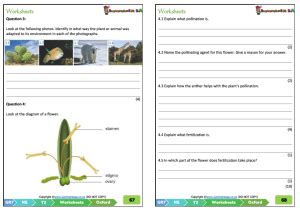 Grade Natural Science Term Worksheets