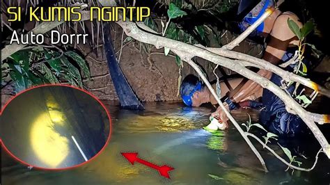 Spot Gacor Malam Ini Ikan Nilem Gabus Dan Limbat Mendarat