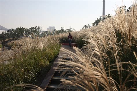 Shanghai Houtan Park By Turenscape — Landscape Architecture Platform