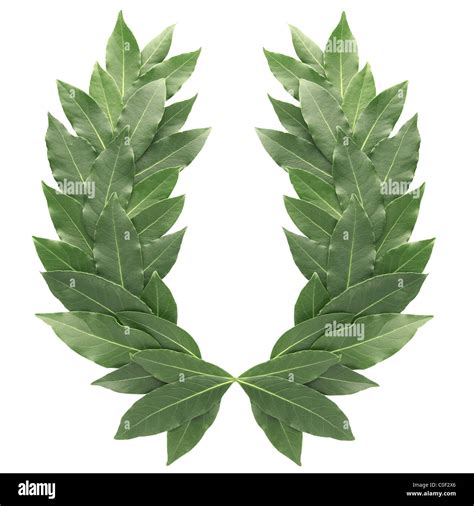 Laurel Wreath Cut Out Stock Images And Pictures Alamy