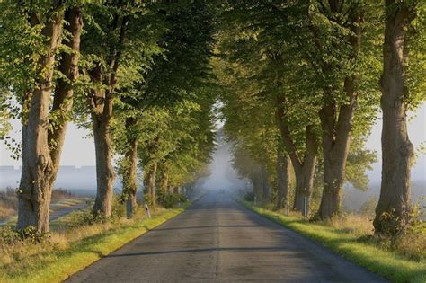 Premium Photo | Natuer