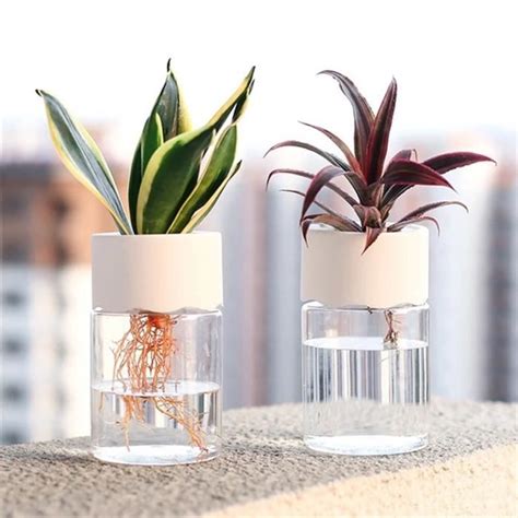 Pot De Fleur Hydroponique Transparent Vase De Plantation D Eau