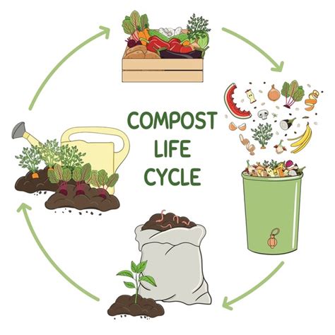 Infographic Composting Bin Kitchen Scraps What Compost Food 54 Off